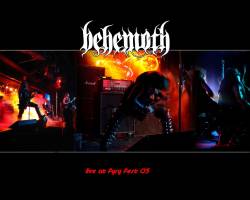 Behemoth (PL) : Live at Furyfest 05